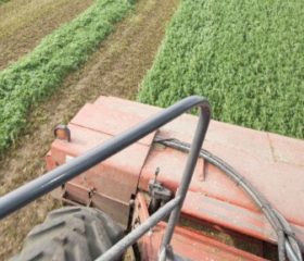 Kids who grow up on farms learn dedication and hard work, employers says; urban kids become pathetic losers