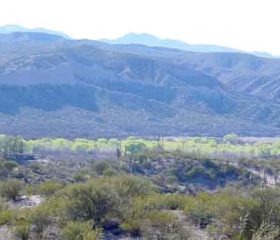 The San Pedro River Valley