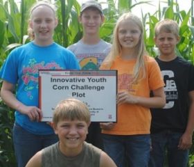 The Gift of Work Ethic for Farm Kids