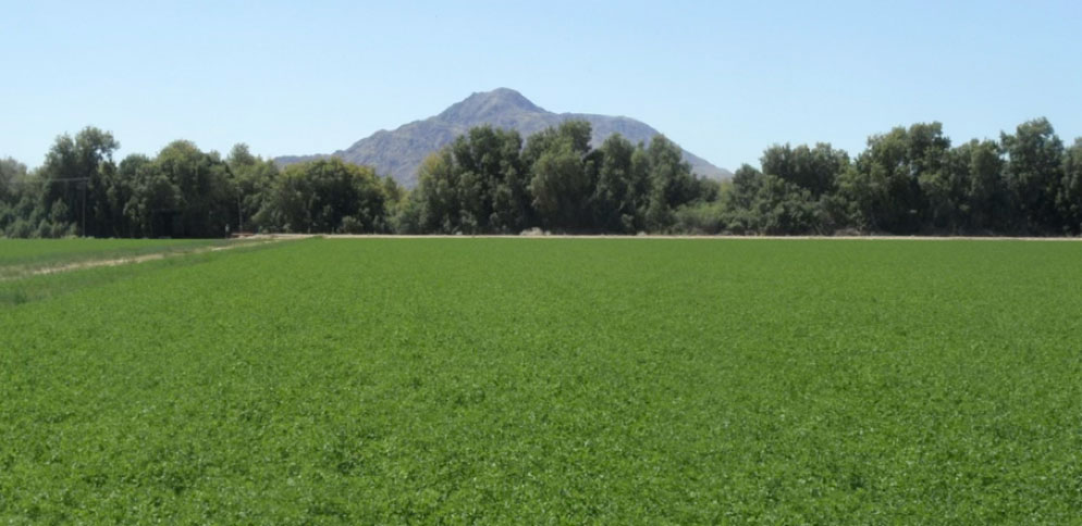 agricultural land