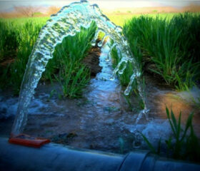 Water Is the New Oil