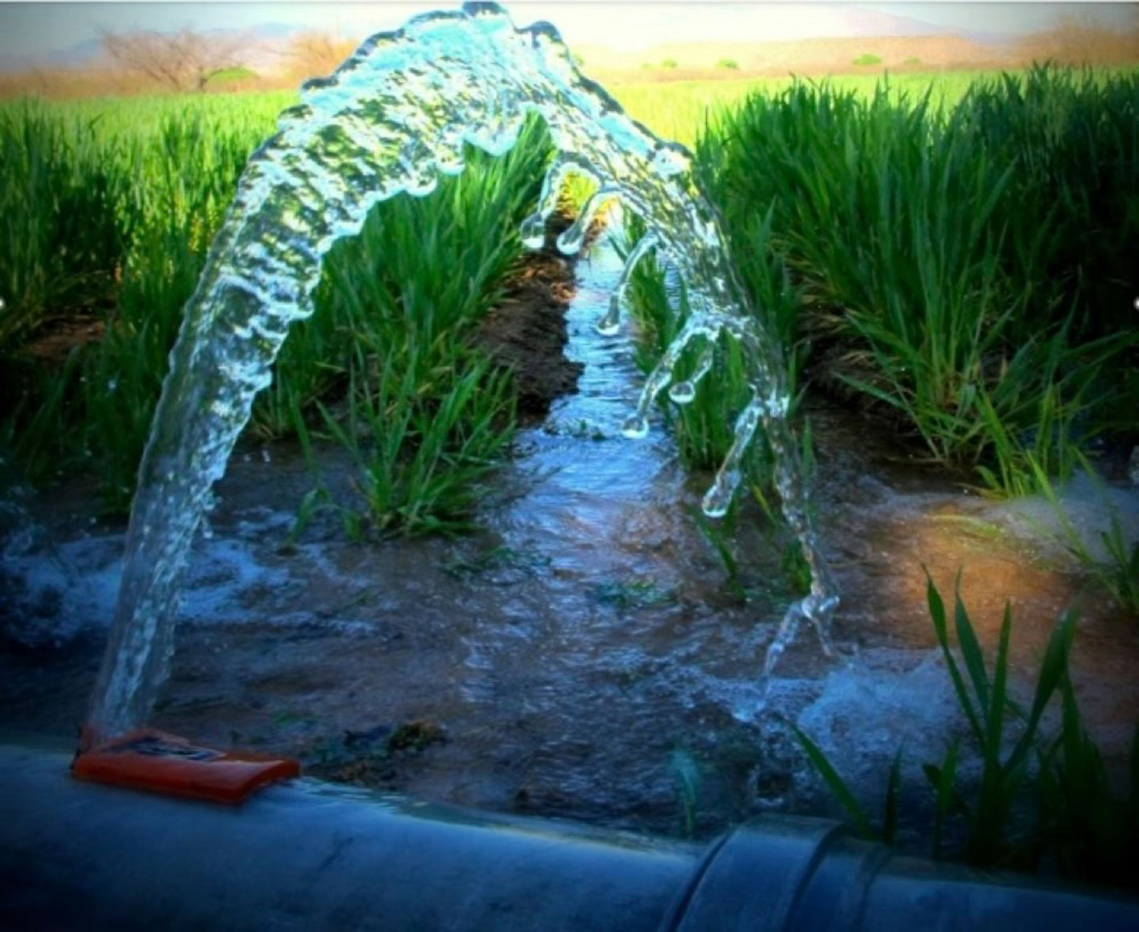 Water from the ground
