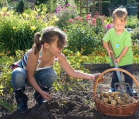 Why farm life is good for kids: Chores, fresh air, sunshine, and a wide range of microbes for a healthy immune system