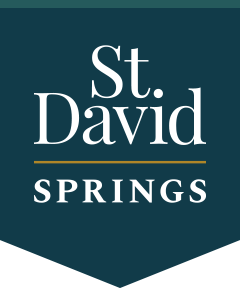 St. David Springs