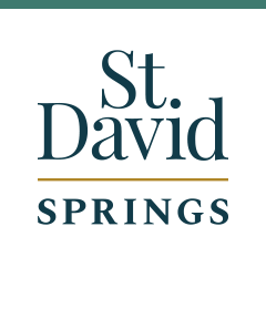 St. David Springs